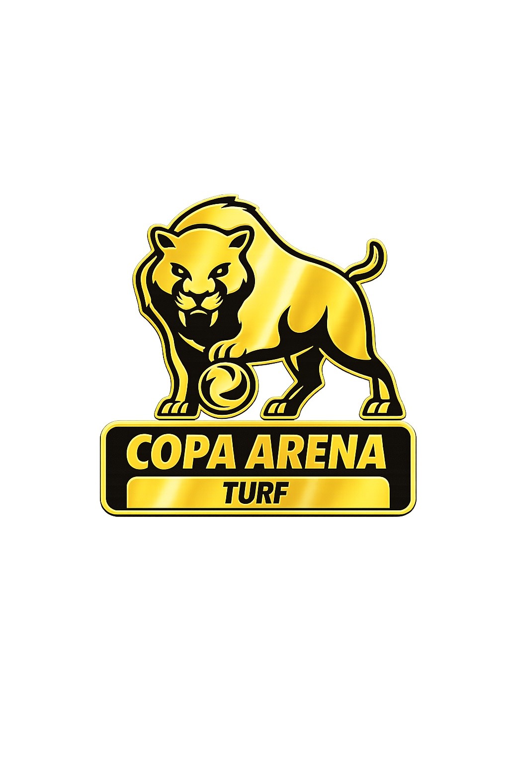 COPA ARENA